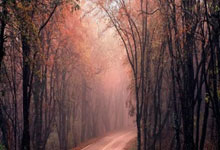 切尔西主场大胜,豪取争冠表态进一步领先