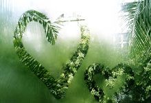 激动人心的足球盛宴持续上演